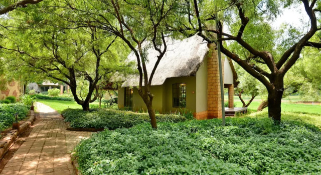 Номер Deluxe African Hills Safari Lodge & Spa