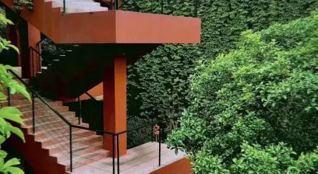 ZM Valley Resort·MoGan·China