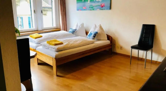 Central Beauty Scenery Apartment