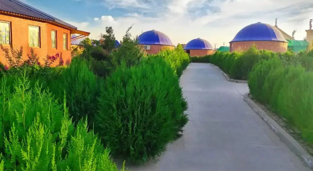 Коттедж Gumbaz Eco SPA Hotel