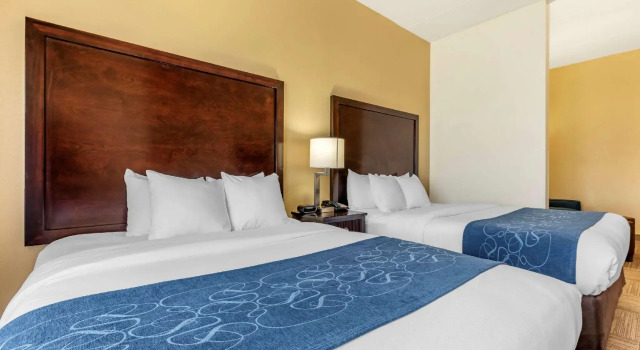 Четырёхместный люкс Comfort Suites Frisco