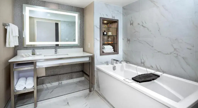 Двухместный номер Premium Hilton Garden Inn Toronto-Oakville