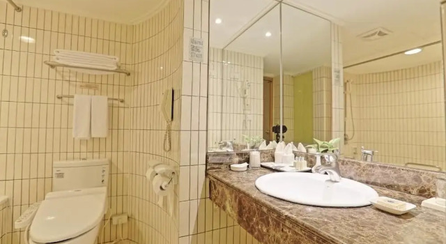 Трёхместный номер Standard Santos Hotel