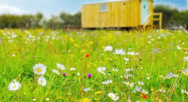 Honeysuckle Farm Hut 3 - Suffolk Farm Holidays Air Manage Suffolk, Забронировать Фермерский дом Фермерские дома Англии, Фермерский дом