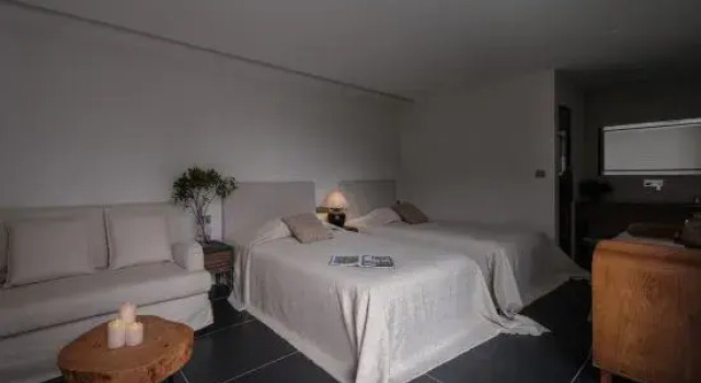 Люкс Zhenyuan Jiangshanju · Jiangshang Chunshan Scenic Homestay