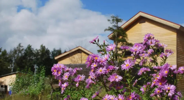 Вилла Auberge Ninguruforet