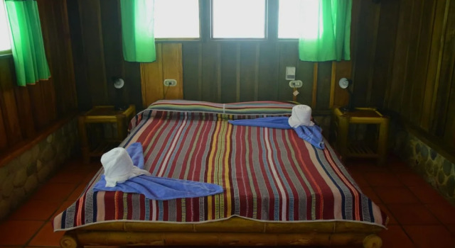 Номер Standard Hotel La Gamba Rainforest Lodge