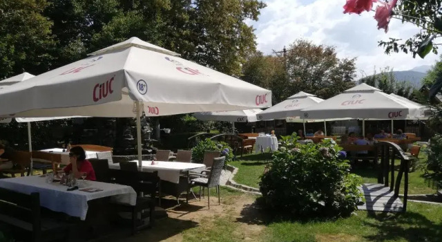 Pensiunea Ghiocelul
