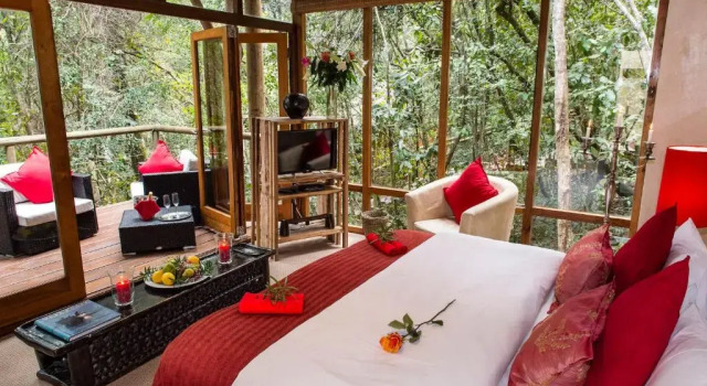 Двухместный номер Deluxe Trogon House and Forest Spa