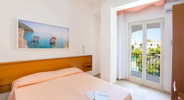 Двухместный номер Standard с балконом Hotel Mediterraneo