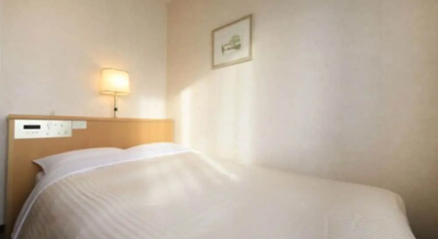 Двухместный номер Economy Kofu Washington Hotel Plaza