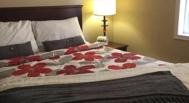 Семейный номер Standard The Falls Family Lodge