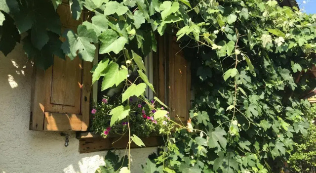 Номер Standard Tante Berg B&B