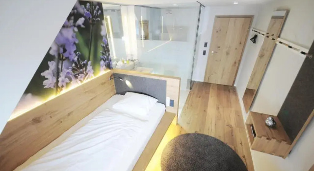 Номер Standard Hotel Waldvogel