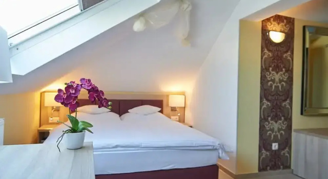 Люкс Hotel Wendelstein