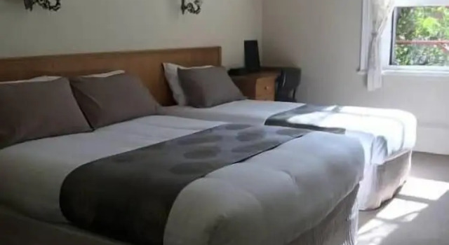Suite Campbell House