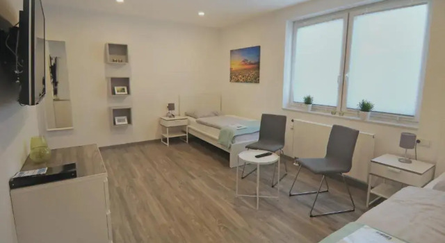 Двухместный номер Standard CityPension-Vreden