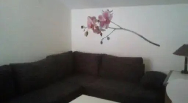 Apartment Zelenčić