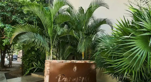 Paramar Jade 002 Swim up By Lockey, Rezerwuj Hotel Hotele w Quintana Roo z parkingiem, Parking