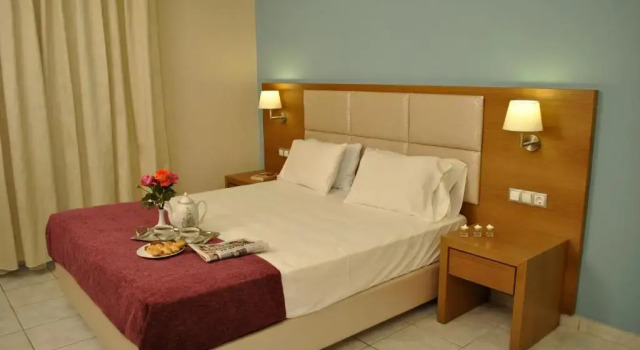 Двухместный номер Standard Hotel Plessas Palace