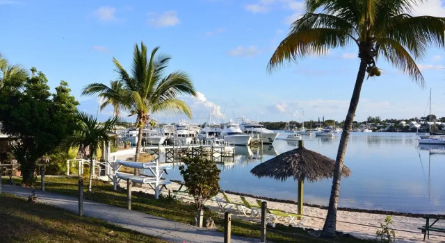 Номер Standard Green Turtle Club Resort & Marina