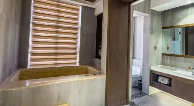 Люкс Executive Jiulong Hot Spring Holiday Hotel
