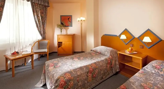Номер Economy Hotel Concertino Zlatá Husa
