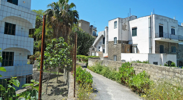 Maestrale