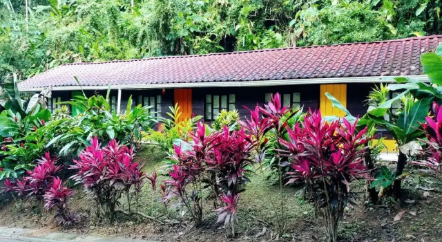 Номер Standard Selva Color - Forest & Beach EcoLodge