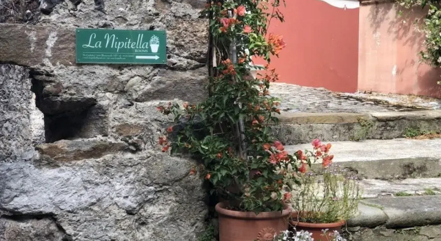 La Nipitella