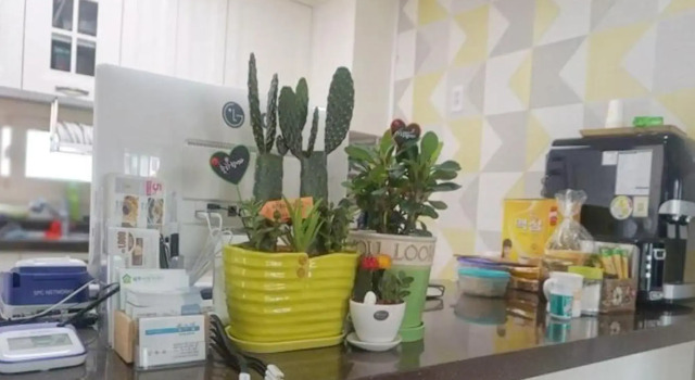 Jeju Shym Dream Guest House
