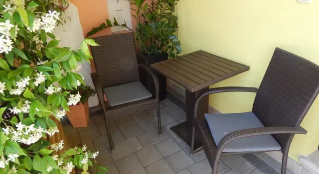 Студия Apartments Javor