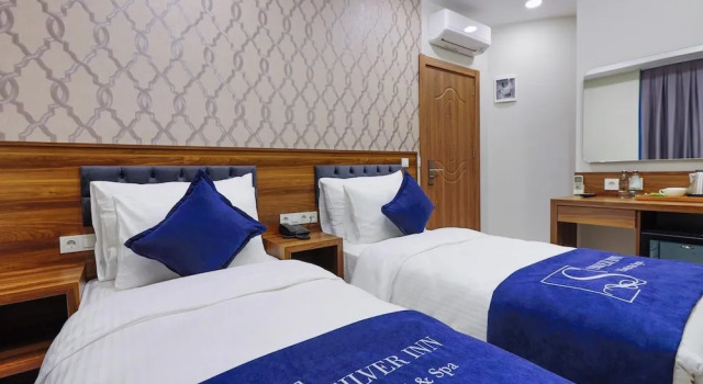 Двухместный номер Standard Silver Inn Spa