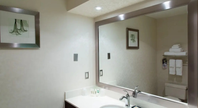 Люкс c 1 комнатой Holiday Inn Windsor - Ambassador Bridge by IHG