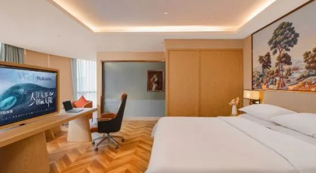 Люкс Deluxe Vienna Hotel (Nanjing Hexi Golden Eagle Shop)