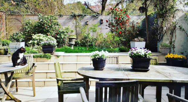 Двухместный номер Comfort с видом на сад B&B Het Leuvens Hof