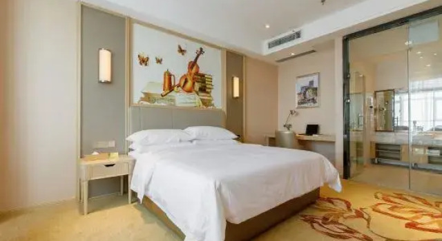 Люкс Business Vienna Hotel (Dezhou Government Shopping Plaza)