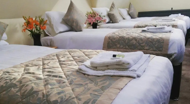 Четырёхместный номер Standard Grainger House Hotel