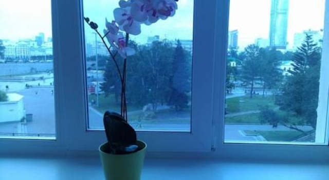 Newburg Apartament on Voevodina, Забронировать Апартаменты/квартира Апартаменты Городского округа Екатеринбурга - Северный управленческий округ, Апартаменты/квартира