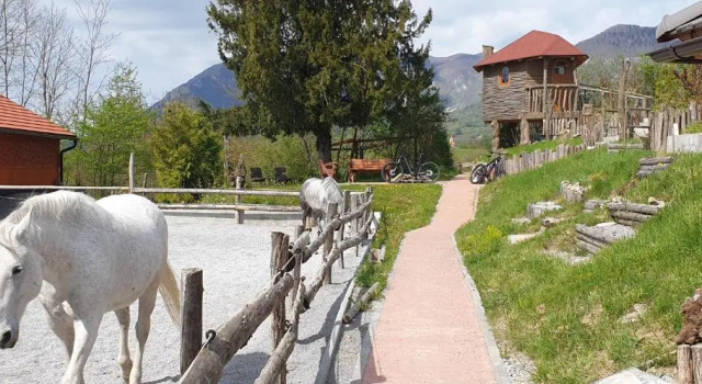 Lipizzaner Lodge Guest House