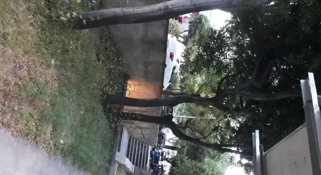 Apartment Marino, Prenota Appartamento Splitska 