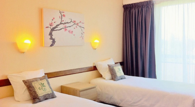 Двухместный номер Standard с балконом и с видом на парк Brit Hotel Le Parc Vichy