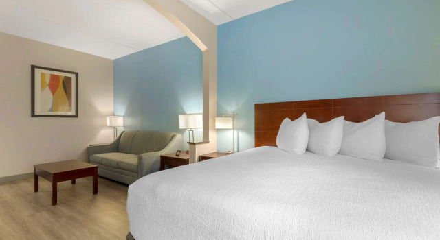 Двухместный люкс Best Western Plus Suites Greenville