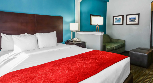 Люкс Comfort Suites Tampa - Brandon