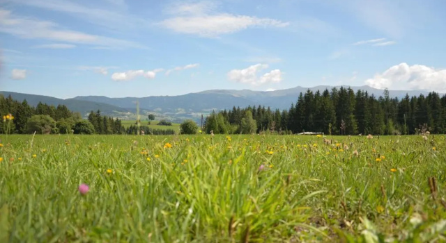 Четырёхместный номер Standard Erholung am Bauernhof bei Familie Seidl / Messner