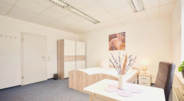 Двухместный номер Standard Landhotel Sonnenhof