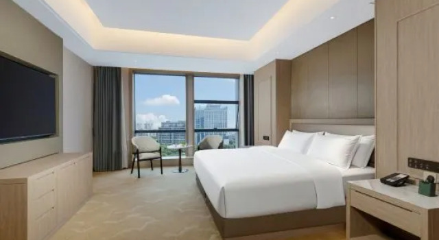 Люкс Holiday Inn Jiaxing Nanhu