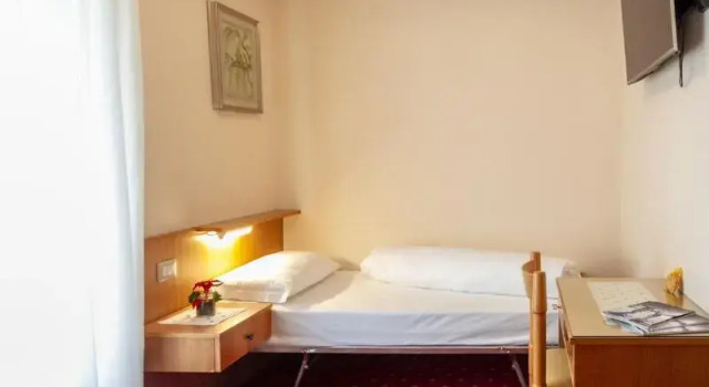 Одноместный номер Standard Hotel Stella Alpina