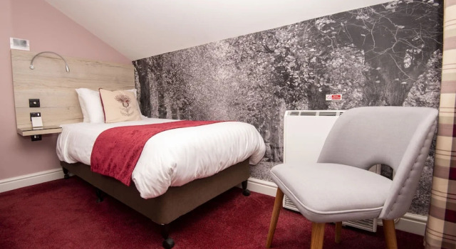Одноместный номер Standard c 1 комнатой с видом на сад Bridleways Guesthouse & Holiday Homes