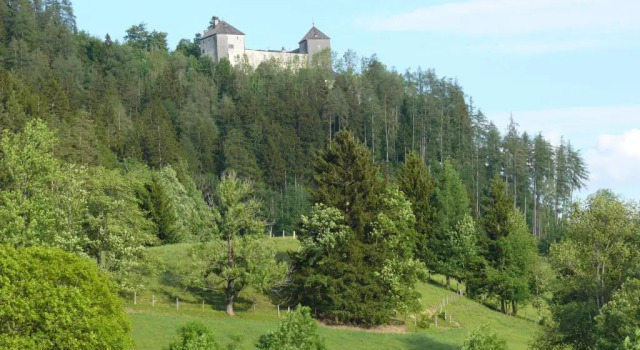 Студия Gasthof Hubertus